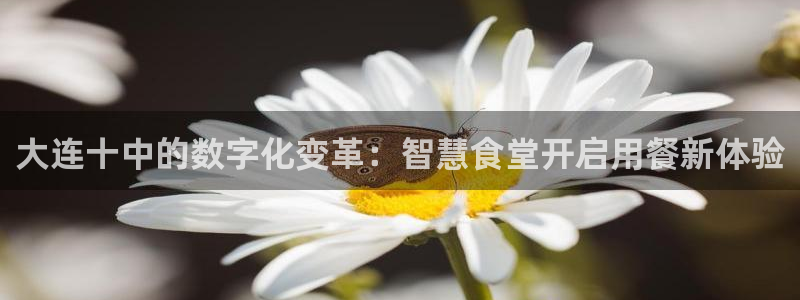 凯时官网手机版下载