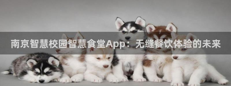尊龙游戏官网：南京智慧校园智慧食堂App：无缝餐饮体验的未来